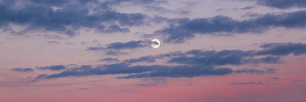 Moonrise Art Print featuring the photograph Moonrise In Pink Sky by D K Wall