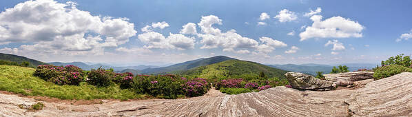 Roan Highlands; North Carolina; Tennessee; Appalachian Trail; Rhododendrons; Jane Bald; Spring; June; Art Print featuring the photograph Roan Highlands Panorama by Paul Malcolm