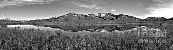 Slough Creek Art Print featuring the photograph Slough Creek Reflection Panorama Black And White by Adam Jewell