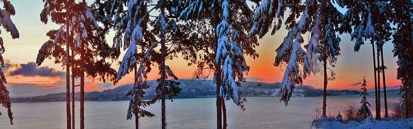 Winter Sunrise Art Print featuring the photograph Winter Drama Sunrise Panorama by Mary Gaines