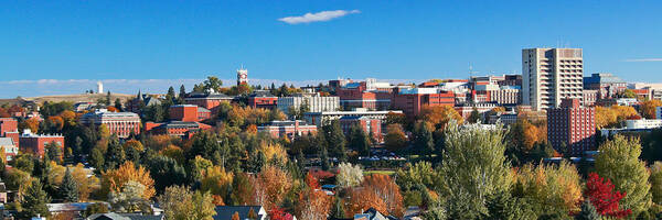 Wsu Autumn Panorama Art Print featuring the photograph WSU Autumn Panorama by David Patterson