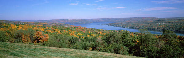 Photography Art Print featuring the photograph Forest At The Lakeside, Keuka Lake by Panoramic Images