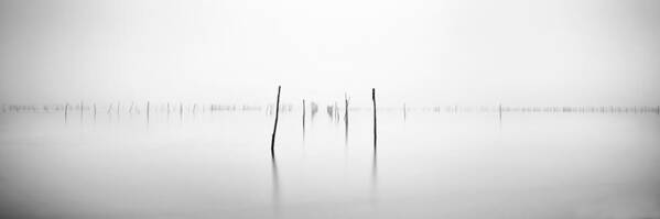 Fog Art Print featuring the photograph The Mysterious Oyster's Way by Laurent Gaillard