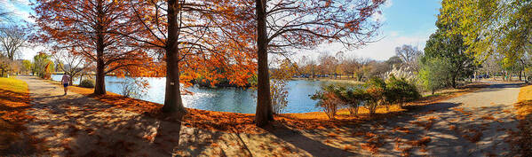 Autumn Art Print featuring the photograph A Gorgeous Autumn Day at Centennial Park by Marcus Jones