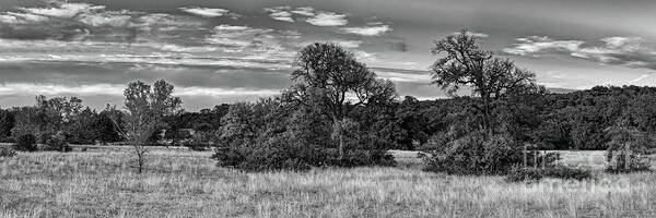 Central Art Print featuring the photograph Monochrome Dreamy Prairie in Canyon Lake Potter's Creek- Comal County Texas Hill Country by Silvio Ligutti