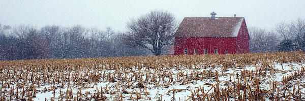 Red Barn Art Print featuring the photograph Red Barn - Winter Field by Nikolyn McDonald