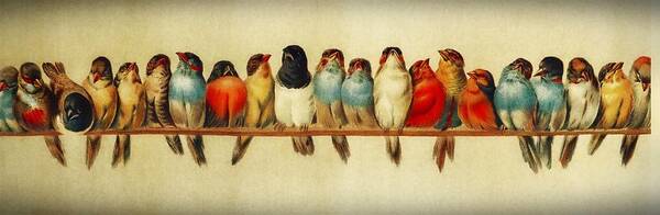 Bird Art Print featuring the painting Twenty One Birds on A Perch by Movie Poster Prints