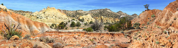 Desert Art Print featuring the photograph Backroads Utah Panoramic by Mike McGlothlen