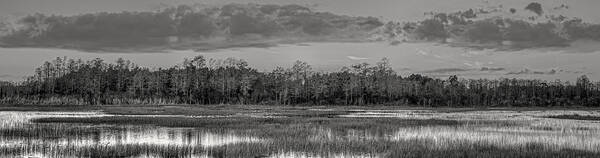 Cloud Art Print featuring the photograph Everglades Panorama BW by Debra and Dave Vanderlaan