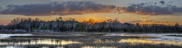 Cloud Art Print featuring the photograph Everglades Panorama by Debra and Dave Vanderlaan