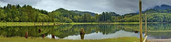 Panorama Art Print featuring the photograph Sunny Beach Point 1 by SC Heffner