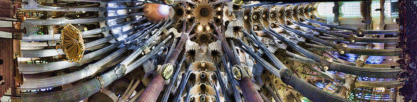 Cathedral Art Print featuring the photograph Wide Panorama of the interior Ceiling of Sagrada Familia in Barcelona by David Smith