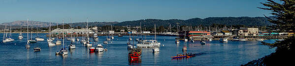 Panoramic Art Print featuring the photograph Monterey Day by Derek Dean