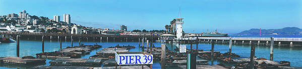 San Francisco Art Print featuring the photograph Sea Lions On Pier 39 by Mountain Dreams