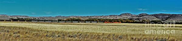 Trains Art Print featuring the photograph Trains Across America by Merle Grenz