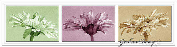 Gerbera Daisy Art Print featuring the painting Gerbera Balance by Kory Fluckiger