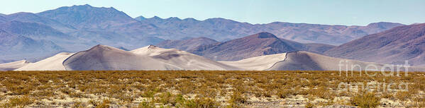 Big Dune Nevada Panorama Art Print featuring the photograph Big Dune Nevada Panorama by Dustin K Ryan