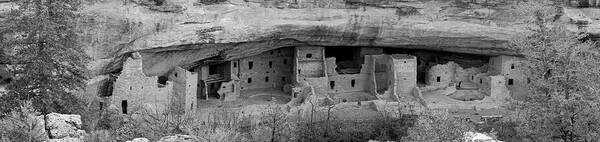 Archeology Art Print featuring the photograph Spruce Tree House Panorama Mesa Verde National Park by Mary Lee Dereske