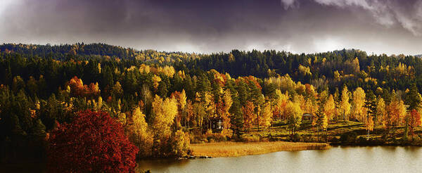 Autumn Art Print featuring the photograph Autumn Colored Nature And Landscape #1 by Christian Lagereek