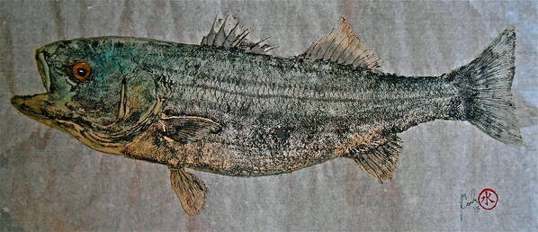 Gyotaku Art Print featuring the mixed media Gyotaku - Striped Bass - Rock Fish - Striper #1 by Jeffrey Canha