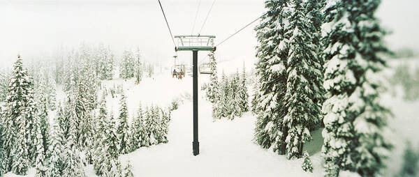 Photography Art Print featuring the photograph Chair Lift And Snowy Evergreen Trees by Panoramic Images