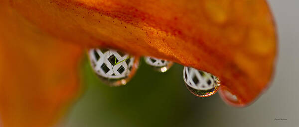 Raindrops Art Print featuring the photograph Criss Cross Water Drop by Crystal Wightman