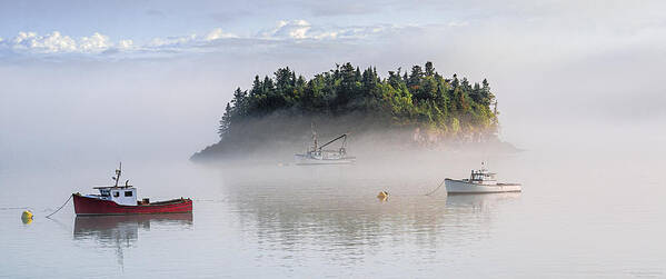 Fog Art Print featuring the photograph Fog Burn Off with First Sunlight by Marty Saccone