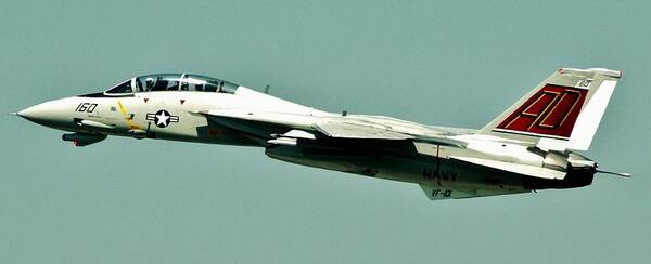 F-14 Tomcat Art Print featuring the photograph Grim Reaper by Benjamin Yeager