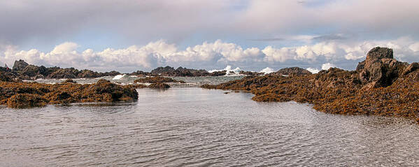 Rain Forest Art Print featuring the photograph Little Beach Surf at Low Tide by Allan Van Gasbeck