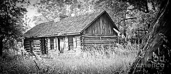Log Cabin Art Print featuring the photograph Lost Cabin by Shannon Beck-Coatney