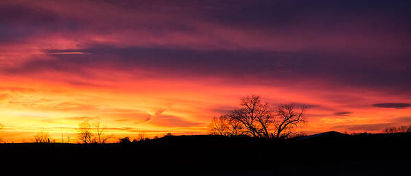 Sky Art Print featuring the photograph Beautiful Sky #1 by Holden The Moment