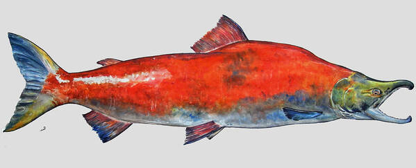 Salmon Art Print featuring the painting Sockeye salmon by Juan Bosco