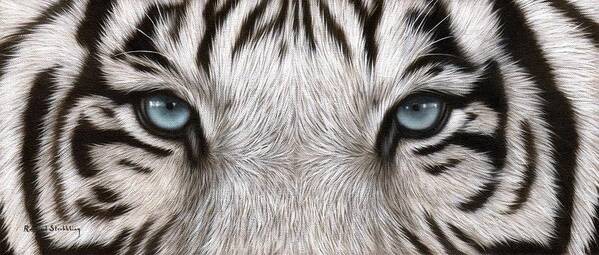 White Tiger Eyes Art Print featuring the painting White Tiger Eyes Painting by Rachel Stribbling