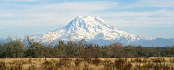 Mt. Art Print featuring the photograph Open Range by Rob Green