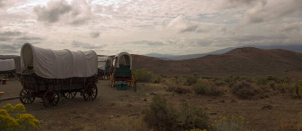 Landscape Art Print featuring the photograph Wagon Train by Mary Capriole