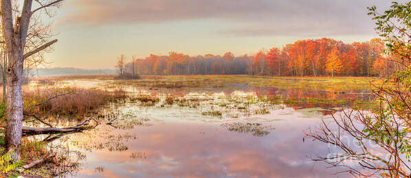 Creek Art Print featuring the photograph Misty Morning II by Rod Best