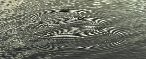Situations Art Print featuring the photograph Ripple Effect by John Glass