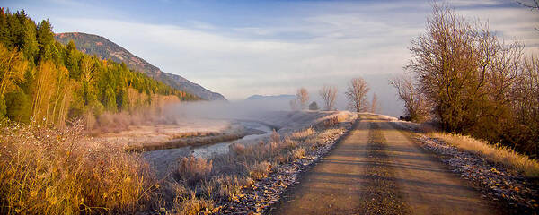 Kootenai Game Preserve Art Print featuring the photograph Auto Tour by Albert Seger