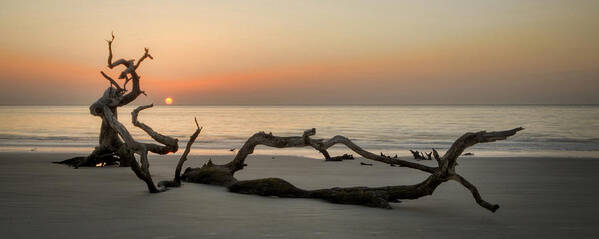 Driftwood Art Print featuring the photograph Beach Art Cropped by Greg and Chrystal Mimbs