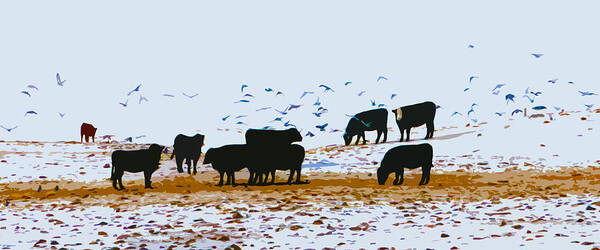 Cattle And Birds Art Print featuring the photograph Cattle and Birds by David Ralph Johnson