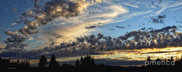 Clouds Art Print featuring the photograph Clouds of Oregon by Shari Nees