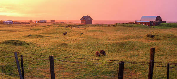 Sunset Art Print featuring the photograph Icelandic Farm during Sunset by Brad Scott