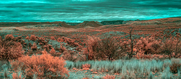 Butte Art Print featuring the photograph Infrared Arizona by Paul Freidlund