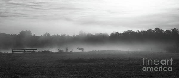 Horse Art Print featuring the photograph Morning Fog BW by Michael Ver Sprill