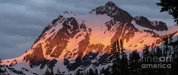 Mount Shuksan Art Print featuring the photograph Mount Shuksan Brilliant Alpenglow by Mike Reid