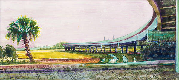 Flyover Art Print featuring the painting Palmetto Flyover by David Randall