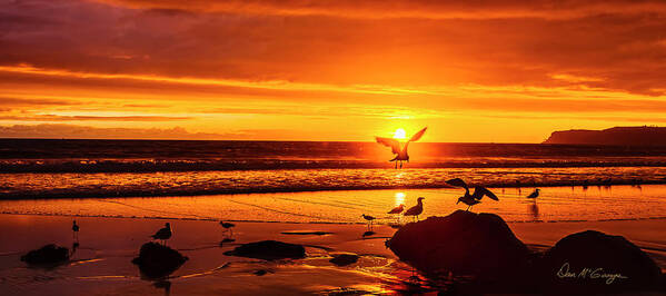 Coronado Art Print featuring the photograph Sunset Surprise Pano by Dan McGeorge