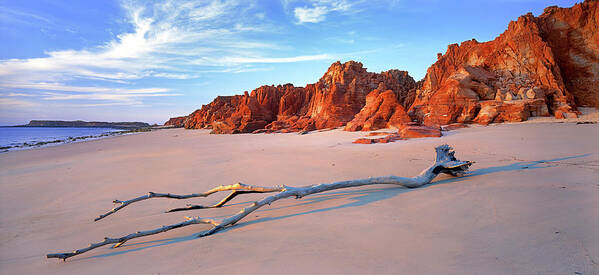 Ocean Art Print featuring the photograph Driftwood by Wayne Bradbury Photography