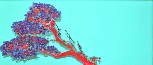 Leaning Red Bonsai Tree Art Print featuring the digital art Leaning Red Bonsai Tree by Tom Kelly