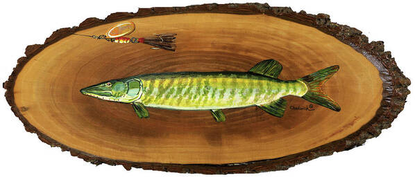 398 Art Print featuring the painting Muskellunge by Phil Chadwick